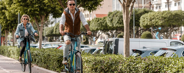 Rozvojová implementačná agentúra mesta Prešov, n. o. - Príprava projektov a investičných zámerov a ich implementácia